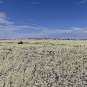 Downpayment for 1 acre in Concho Arizona
