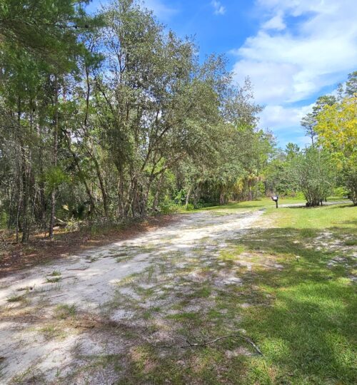 103 N CAROLINA DR,SATSUMA,FL,321893258