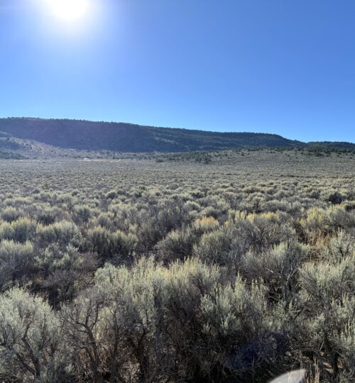 2.5 acres in Wild Horse Mesa Colorado