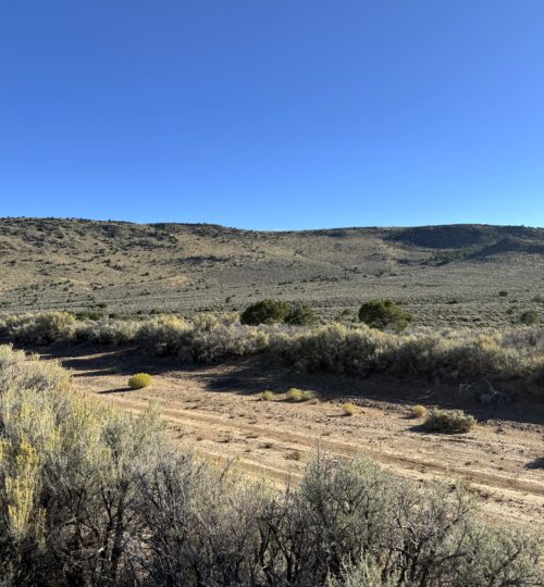 2.85 acres in Wild Horse Mesa Colorado