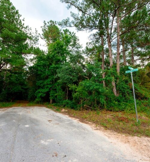 222 INCLINE RD, SATSUMA, FL,