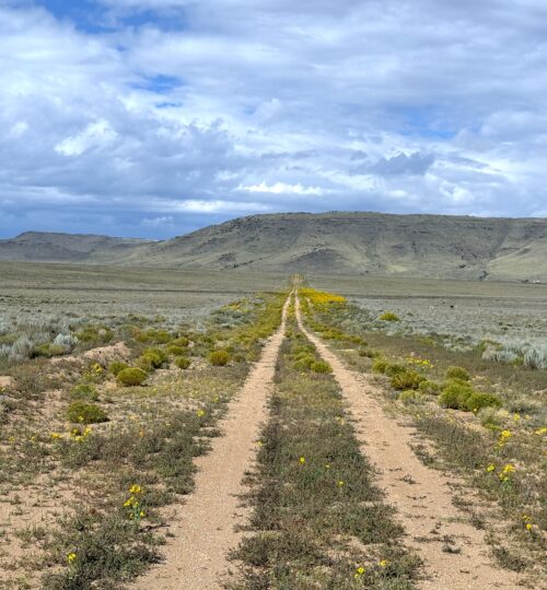 5 acres in Rio Grande Ranches Colorado