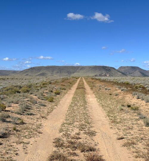 5 acres in Rio Grande Ranches Colorado