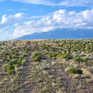 Downpayment for 5.19 Colorado acres with stunning views