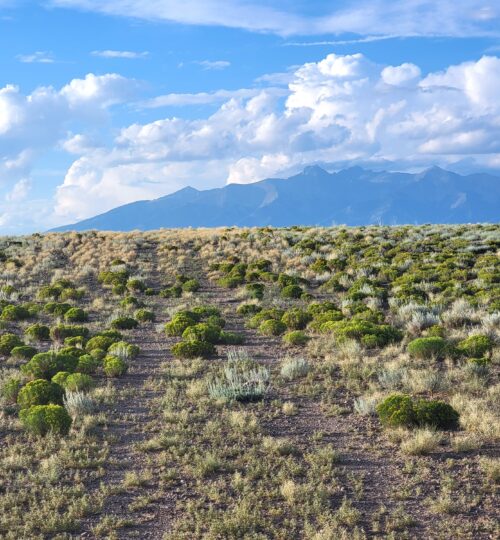 5.19 Colorado acres with stunning views