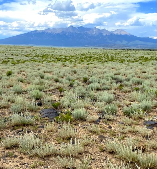Colorado Double Corner Lot with stunning mountain views