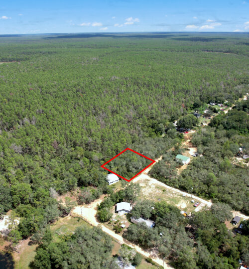 High and Dry and Backs to Forest Service Land