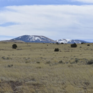 Downpayment for 107-32-045 / R0018885 - 1 acre in Concho Arizona