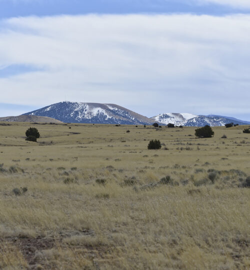 1 acre in Concho Arizona