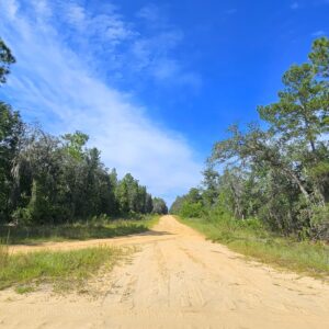 Downpayment for High and Dry Corner Lot in Interlachen
