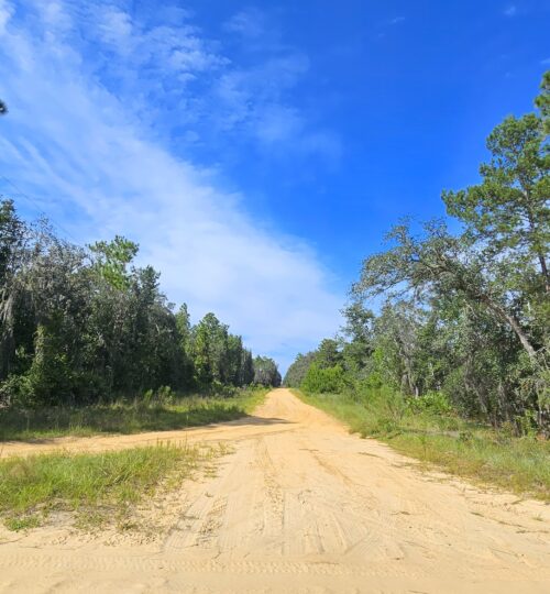 High and Dry Corner Lot in Interlachen