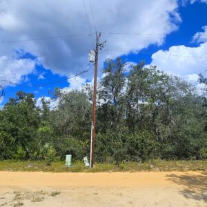 Downpayment for High and Dry and Backs to Forest Service Land