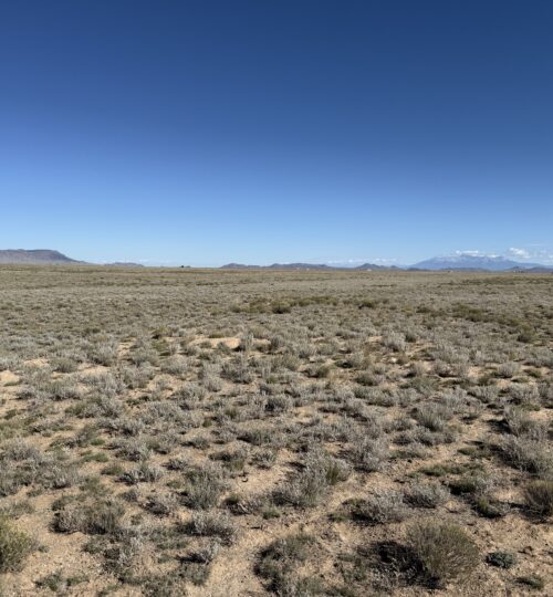 5 acres in Rio Grande Ranches Colorado – APN 71508150