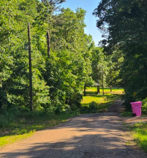 Mobile Homes Welcome in this Texas Lake Community