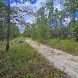 Downpayment for 12-11-26-8240-0120-0020 - Mourning Dove Rd, Satsuma Florida