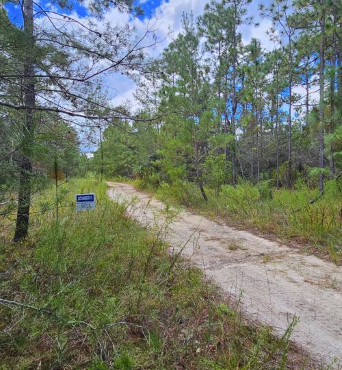 Mourning Dove Rd, Satsuma Florida