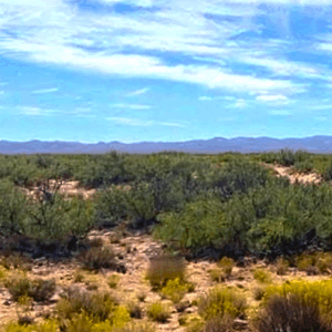 Downpayment for No Zoning in Culberson County TX