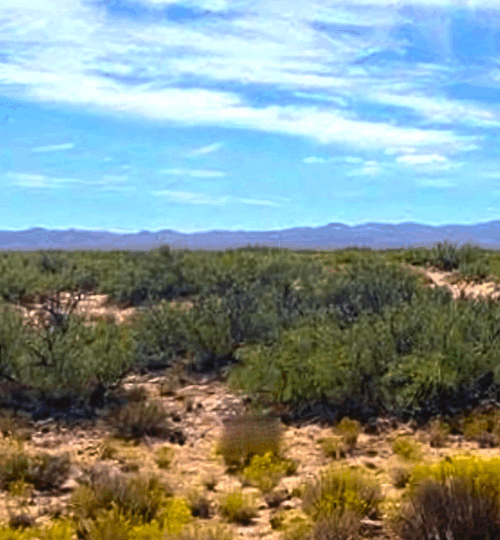 No Zoning in Culberson County TX