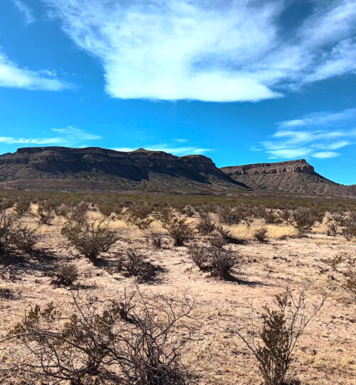 10 acres south of Van Horn with NO Zoning.  Build anything!