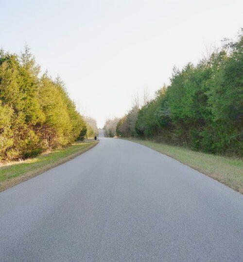 Straight walk to Crown Lake Pier!