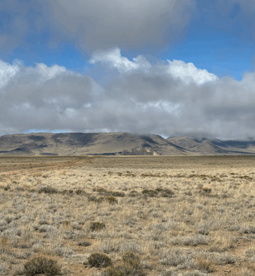 15 acres with Stunning Views in Colorado