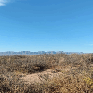 Downpayment for 9902 - 10 acres East of Van Horn with NO Zoning.  Build anything!