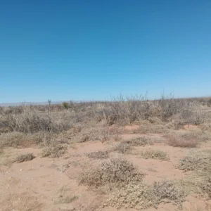 Downpayment for 1112034 - Bring Your Ideas to Texas, Not Heavy Equipment