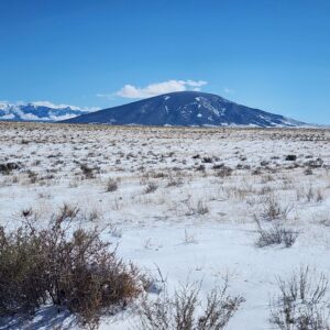 Downpayment for 71517360 - 5 acres Wire Fenced in Rio Grande Ranches
