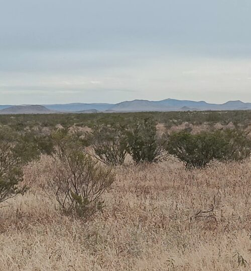 Southwest Sunsites | 11 Acres | Culberson County