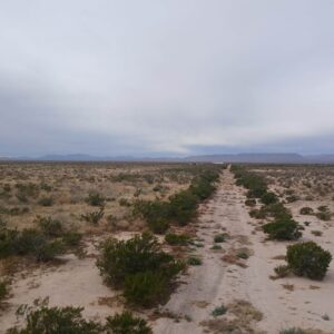 Downpayment for 8300 - Southwest Sunsites | 10 Acres | Culberson County