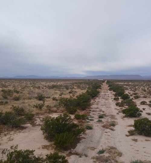 Southwest Sunsites | 10 Acres | Culberson County