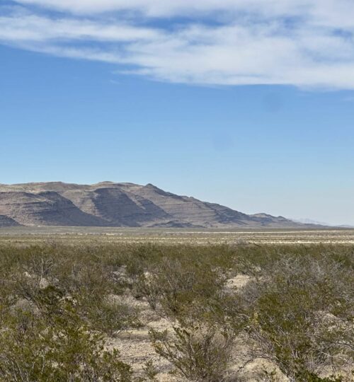 West Texas Freedom: 10 Acres with Big Views & Zero Restrictions