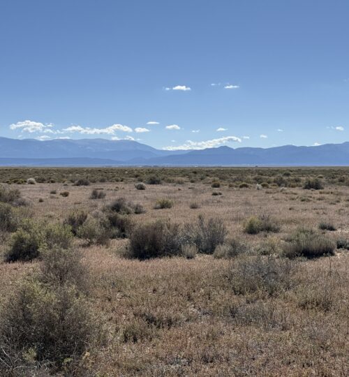5 Acres in Rio Grande Ranches | Big Sky Views and Off-Grid Freedom