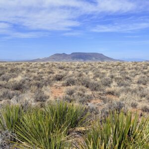 Downpayment for 71556890A - Camp, Build, or Relax on 5 CO Acres – Drive-Up Access & Stunning Views