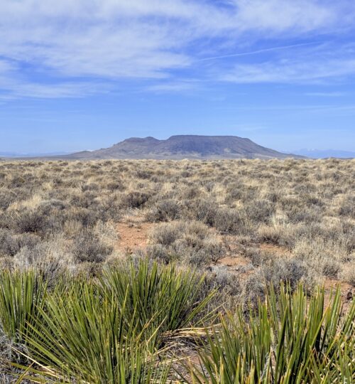 Camp, Build, or Relax on 5 CO Acres – Drive-Up Access & Stunning Views