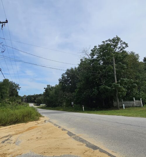 Wooded Double-lot Homesite with Power on the Road | Interlachen Lakes Estates