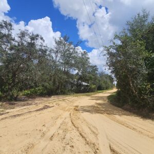 Downpayment for 5020-010-007 - Wooded Lot Backing to Ocala National Forest