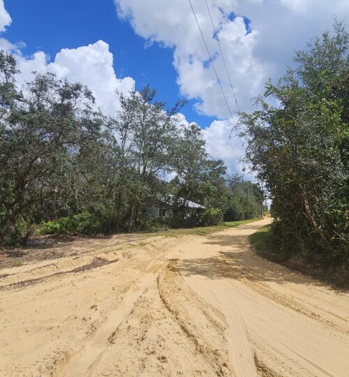 Wooded Lot Backing to Ocala National Forest