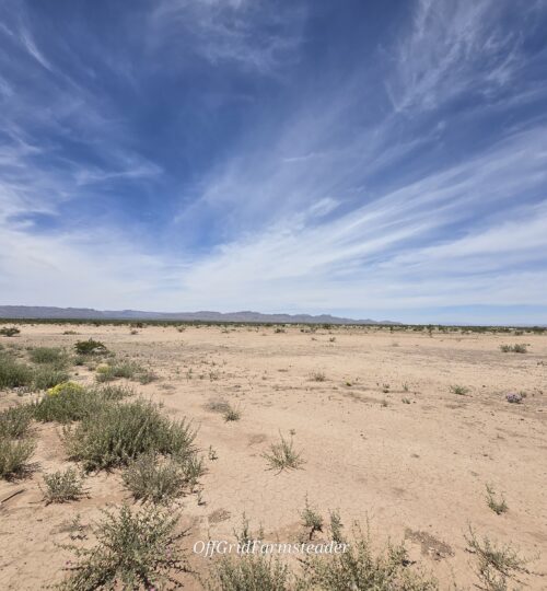5 Acres with Mountain Views Near Van Horn, TX