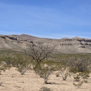Downpayment for 14802 - Mesa Views for Days – 10 Acres of West Texas Freedom