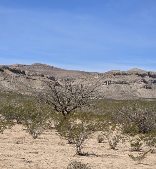Mesa Views for Days – 10 Acres of West Texas Freedom