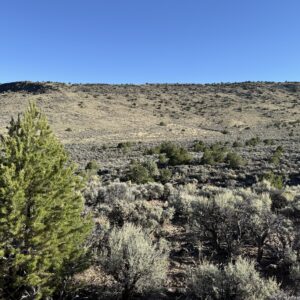 Downpayment for 71209830 - 2.7 Acres on Wild Horse Mesa