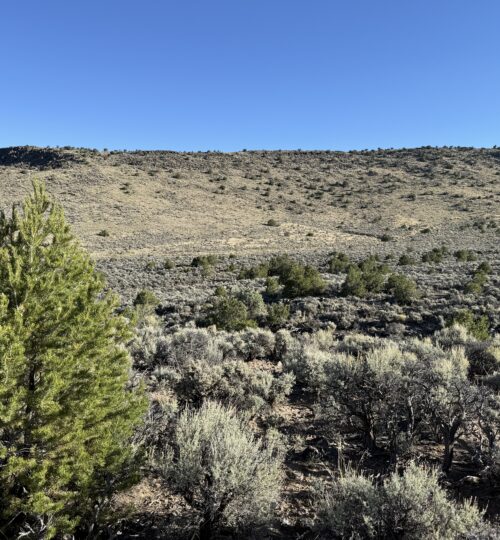 2.7 Acres on Wild Horse Mesa