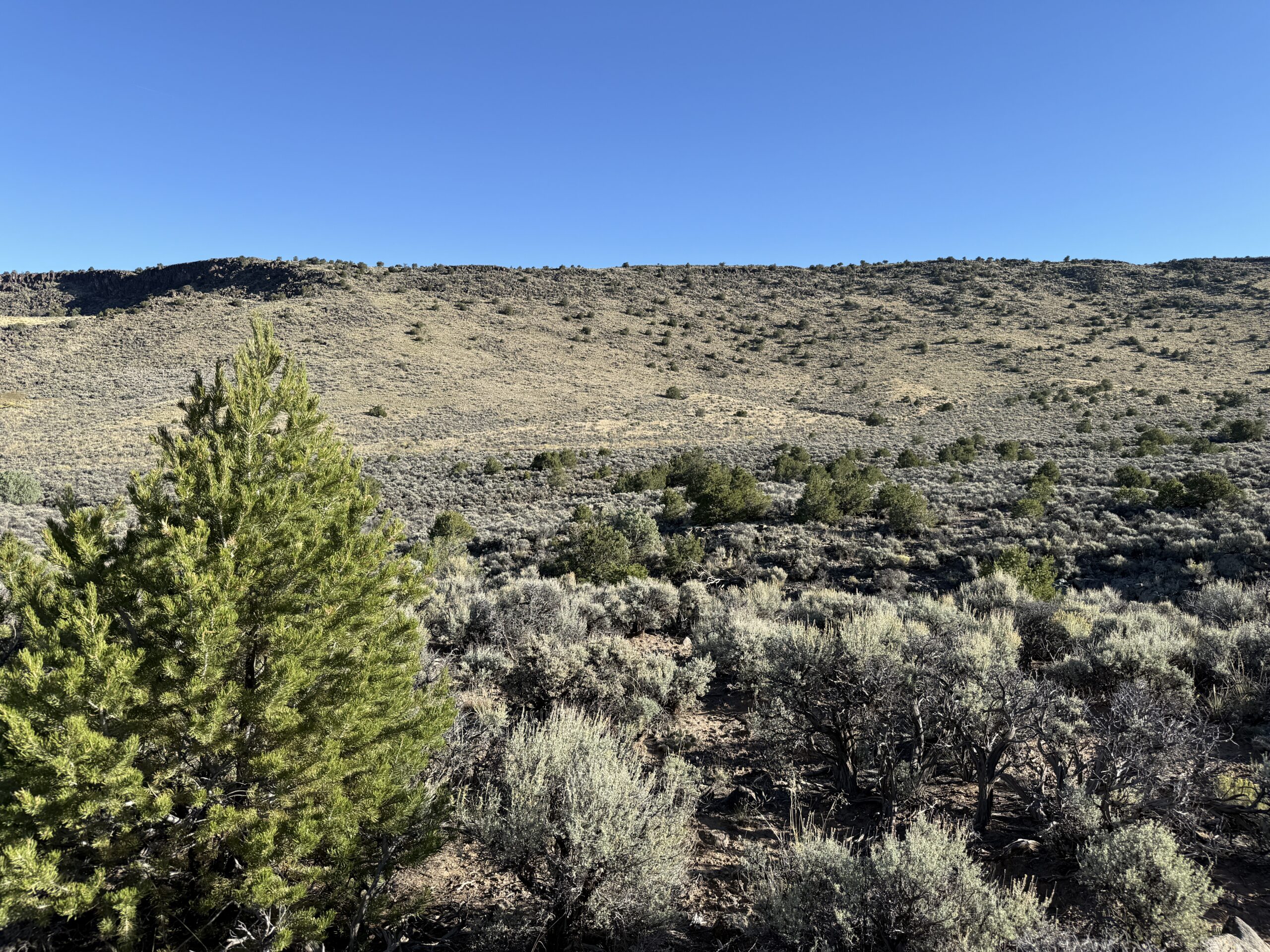 Downpayment for 71209830 - 2.7 Acres on Wild Horse Mesa
