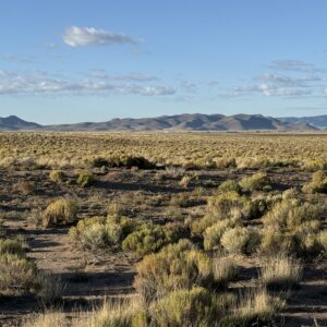 Downpayment for 70391130 - 4.95 Acres Near Smith Reservoir Wildlife Area