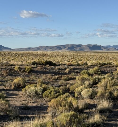 4.95 Acres Near Smith Reservoir Wildlife Area