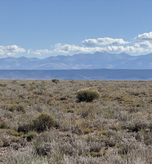 5 acres: Close to the River, Far from the Noise