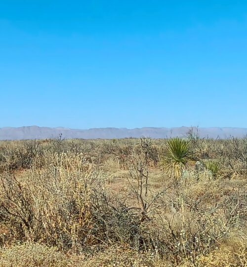 Southwest Sunsites | 10 Acres | Culberson
