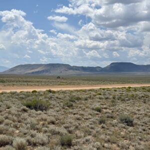 Downpayment for 71533496 - Sky, Space & Solitude – 5 Acres Near the Sangre de Cristo Mountains