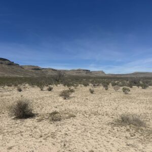 Downpayment for 14323 - 10 Acres of Freedom – No Zoning, Just Wide-Open West Texas